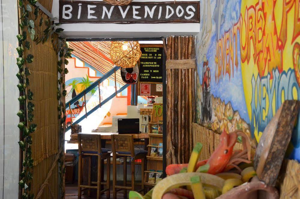 Adventure Experience Hotel Playa del Carmen Eksteriør bilde